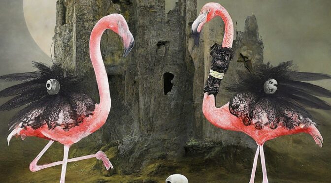 Goth Flamingos